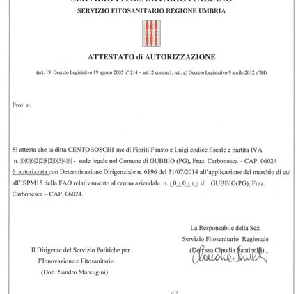 Segheria, imballaggi, pallets. Perugia - Umbria