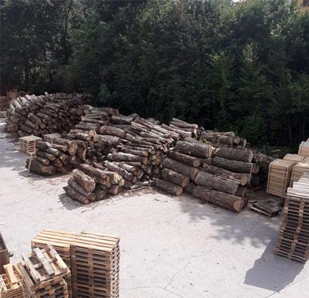 Segheria, imballaggi, pallets. Perugia - Umbria