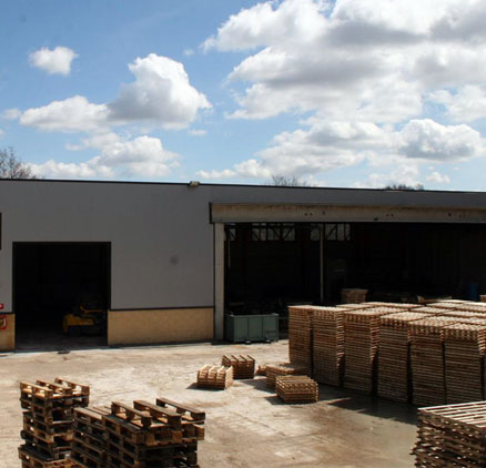 Segheria, imballaggi, pallets. Perugia - Umbria