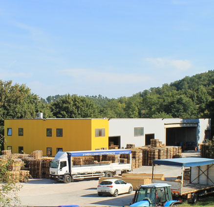 Segheria, imballaggi, pallets. Perugia - Umbria