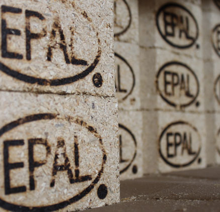 Segheria, imballaggi, pallets. Perugia - Umbria