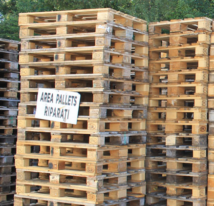 Segheria, imballaggi, pallets. Perugia - Umbria