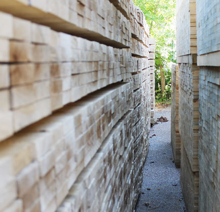 Segheria, imballaggi, pallets. Perugia - Umbria