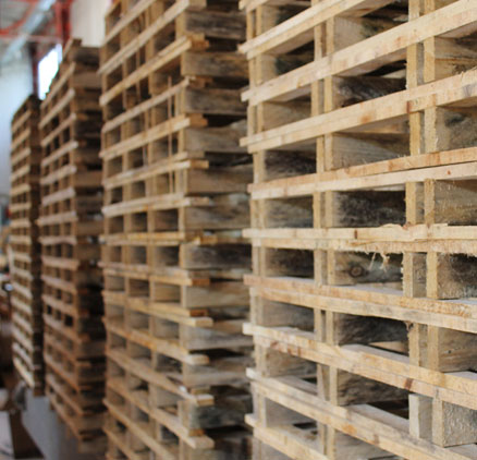 Segheria, imballaggi, pallets. Perugia - Umbria