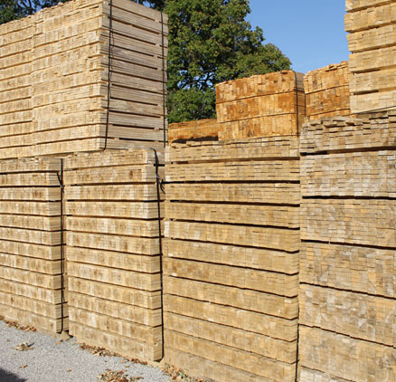 Segheria, imballaggi, pallets. Perugia - Umbria