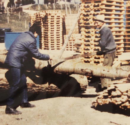 Segheria, imballaggi, pallets. Perugia - Umbria
