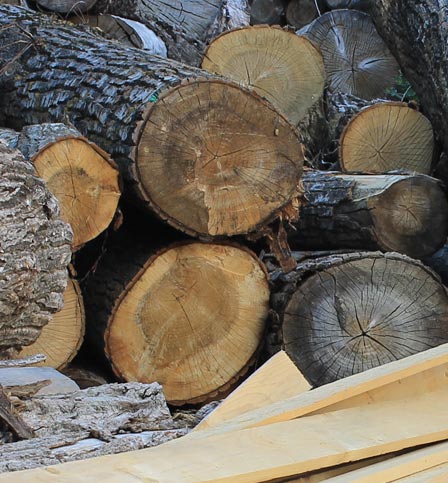 Segheria pallets su misura